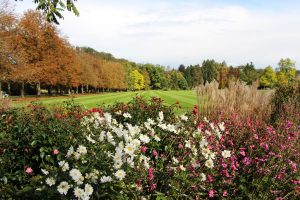 Foto: Arboretum Volčji Potok